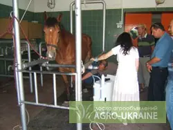 Ударно-волновой аппарат Vetspec- фото № 2