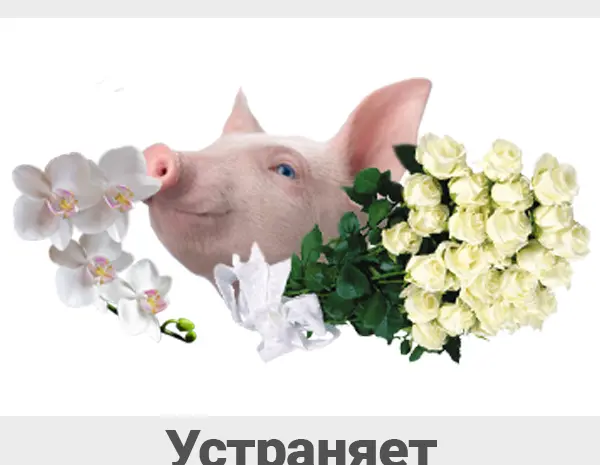 1 кг 1500 грн Ферментационная подстилка для животных и птиц Биоферм- фото № 7