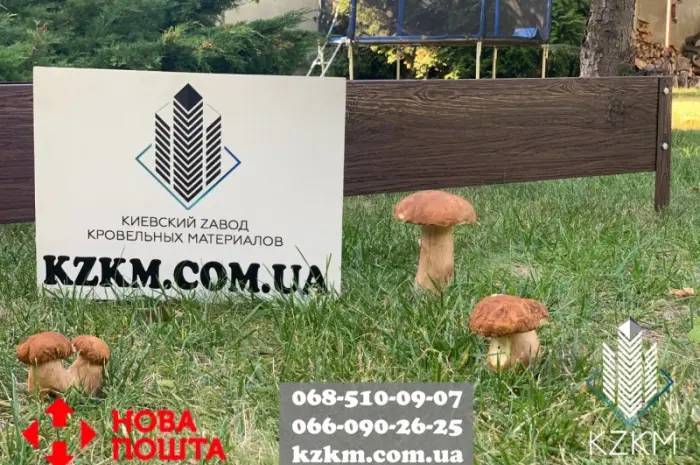 Грядка городна- фото № 9