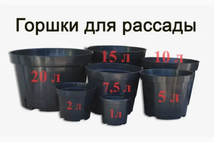 Горшки для рассады и саженцев Оптом. Польша- фото № 1