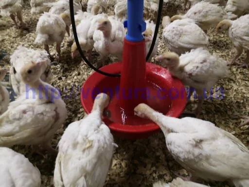 Оборудование для птичников- фото № 1