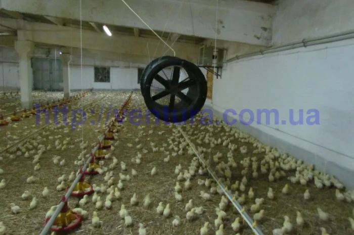 Оборудование для птичников- фото № 5