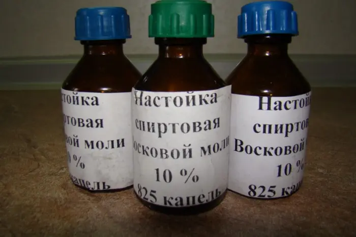 Настойка восковой моли- фото № 1