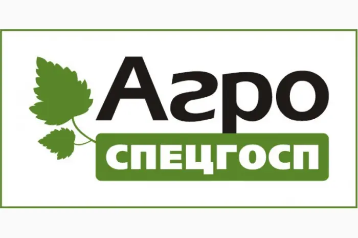 Саджанці смородини Gofert- фото № 1