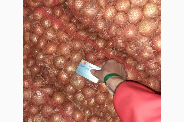 Покупка моркви та цибулі від постачальника від 10 тонн- фото № 3