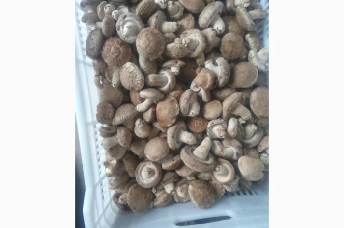 Продаж овочів та фруктів від Китайського постачальника- фото № 4