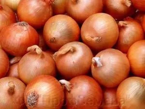 Семена лука Халцедон- фото № 1