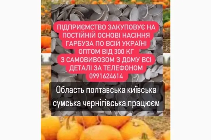 Насіння габруза куплю- фото № 1