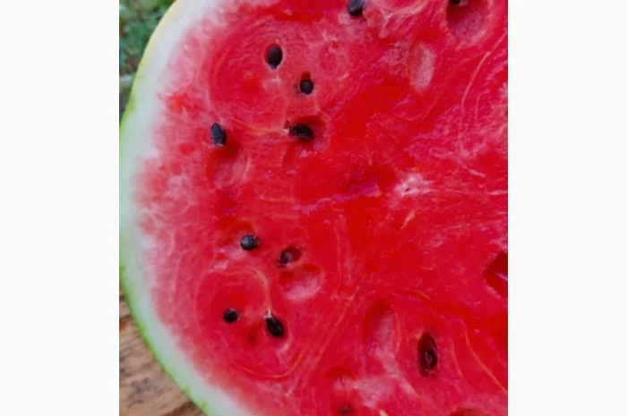 Кавуни та дині на продаж- фото № 7