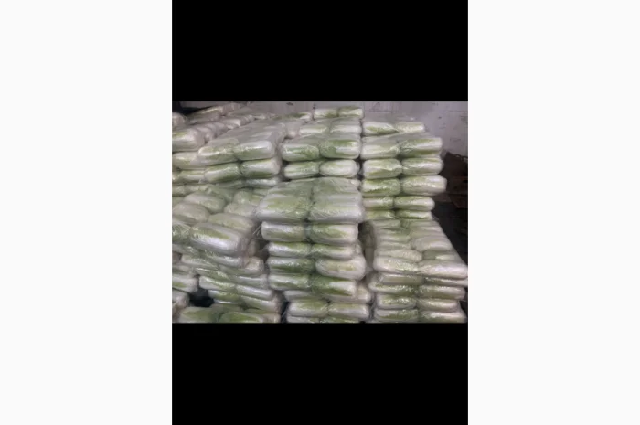 Продажа пекінської капусти Гібрид Білко- фото № 3