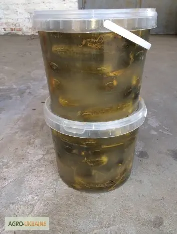 Солоний Огірок- фото № 1