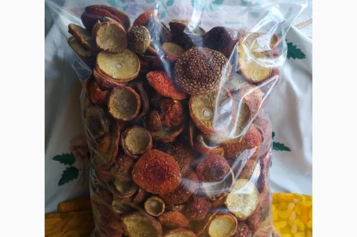 Мухомор червоний сушений, 1 сорт- фото № 5