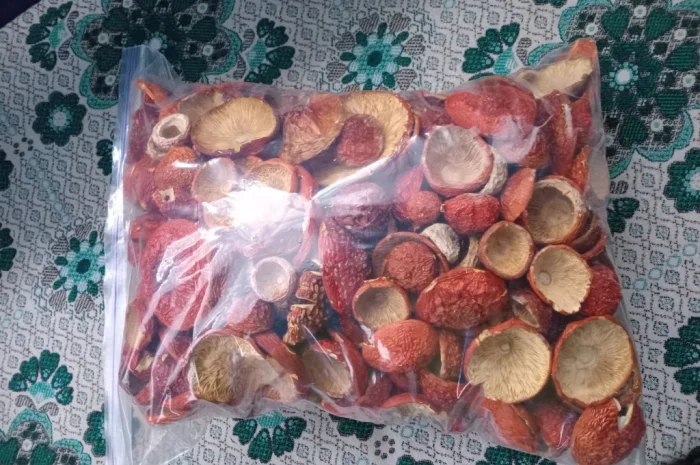 Продаж червоного мухомора 1 сорту- фото № 1