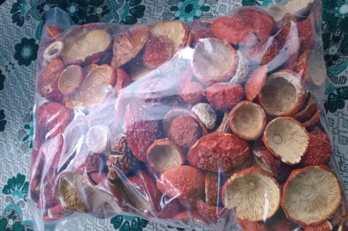 Продаж червоного мухомора 1 сорту- фото № 2