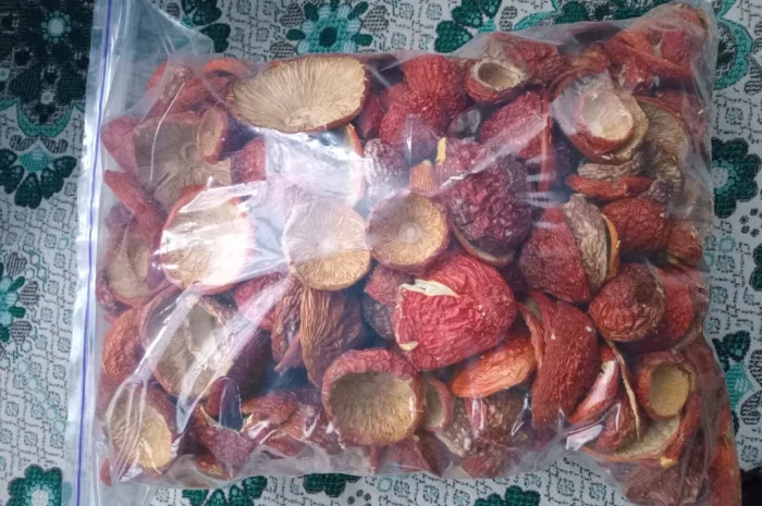 Продаж червоного мухомора 1 сорту- фото № 3