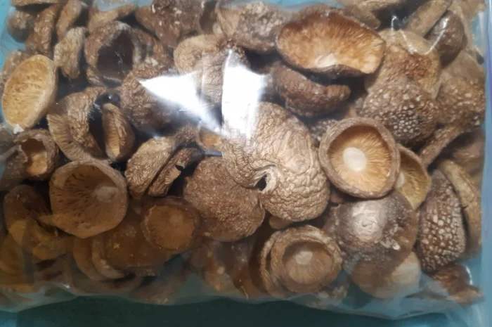 Продажа сушеного мухомора 1 сорта- фото № 4