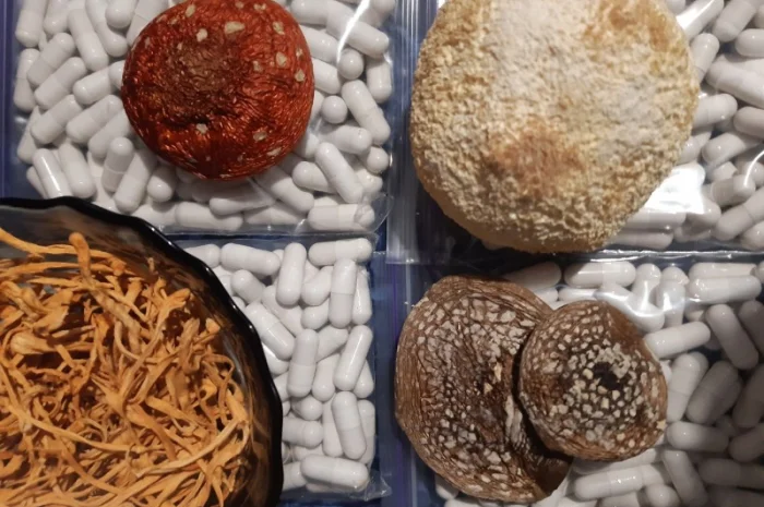 Продажа сушеного мухомора 1 сорта- фото № 5