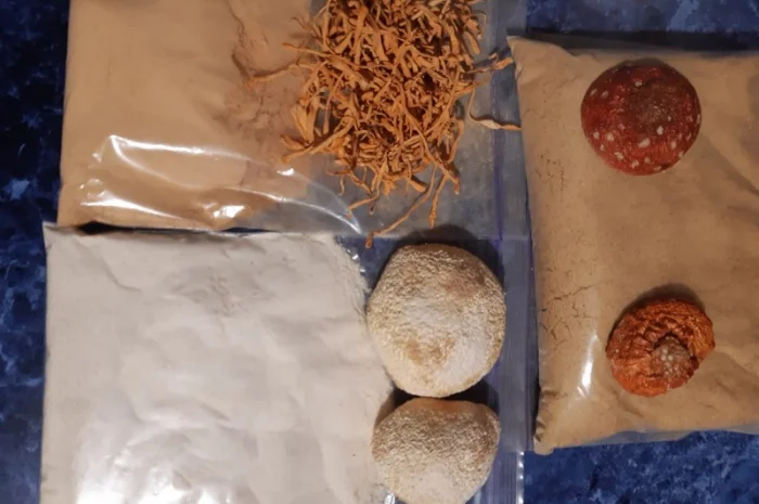 Продажа сушеного мухомора 1 сорта- фото № 6
