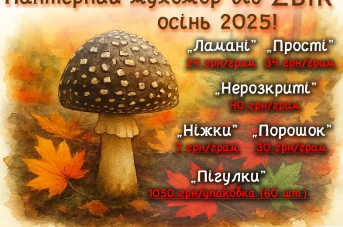 Мухомор ПАНТЕРНИЙ (Amanita Pantherina) на продажу- фото № 2