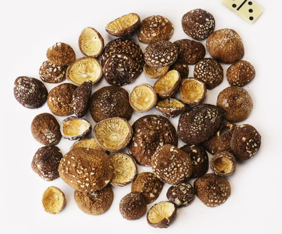 Мухомор пантерний на продажу- фото № 1