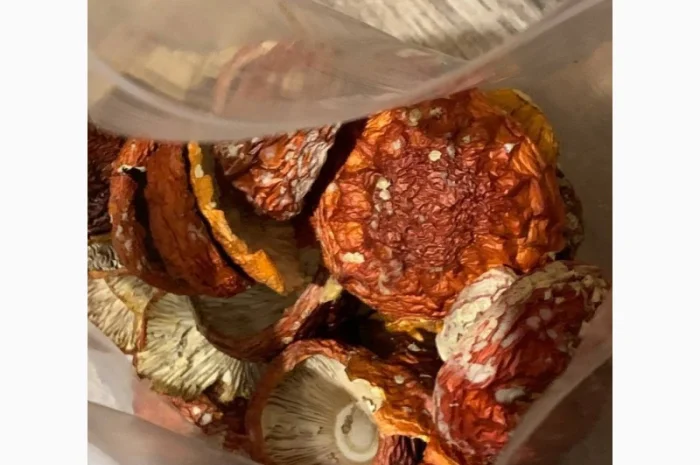 Сушеные красные мухоморы 1 сорт, продажа от 50 грамм- фото № 2