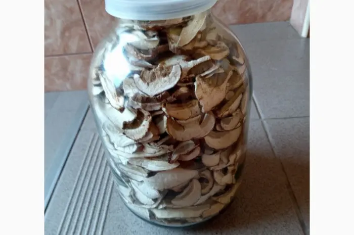 Продажа белых грибов- фото № 2