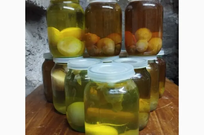 Гриб Веселка панна 1л на продажу- фото № 1