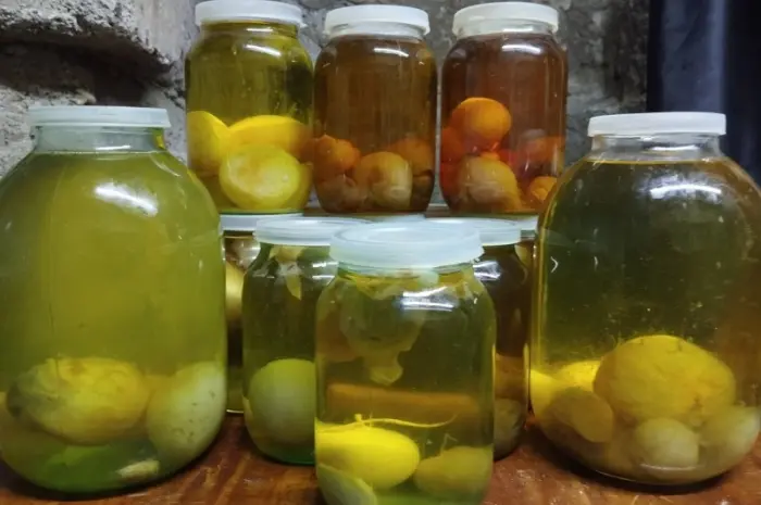Гриб Веселка панна 1л на продажу- фото № 2
