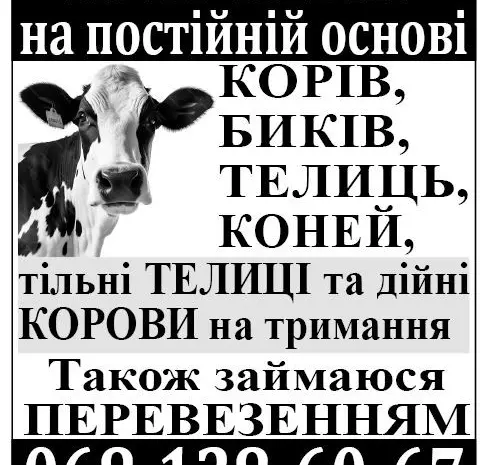 Закупка врх и продажа- фото № 1