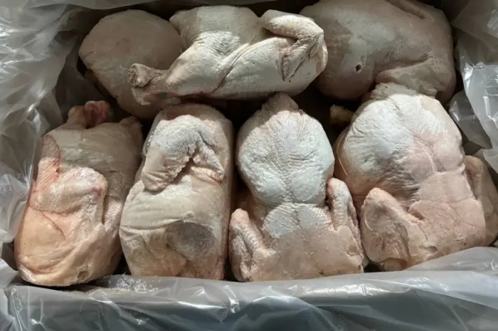 Продам от експротной компании курку замороженую з 20 тонни- фото № 3