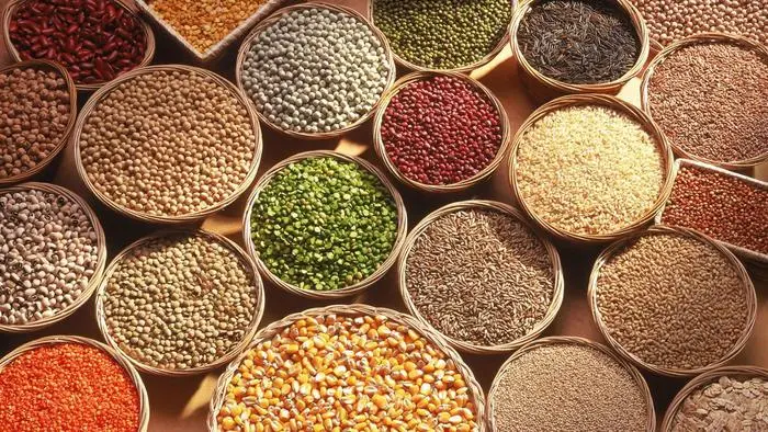 Продажа зерна: пшеница, кукуруза, соя и др- фото № 1