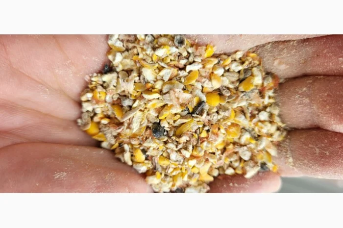 Закупівля некондиційної кукурудзи, сої та пшениці- фото № 1