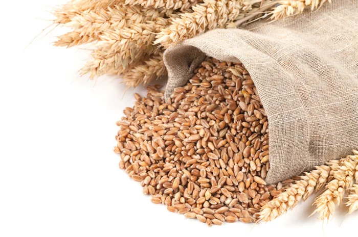 Покупка пшеницы (2/3/4 класс) в Черкассах- фото № 1