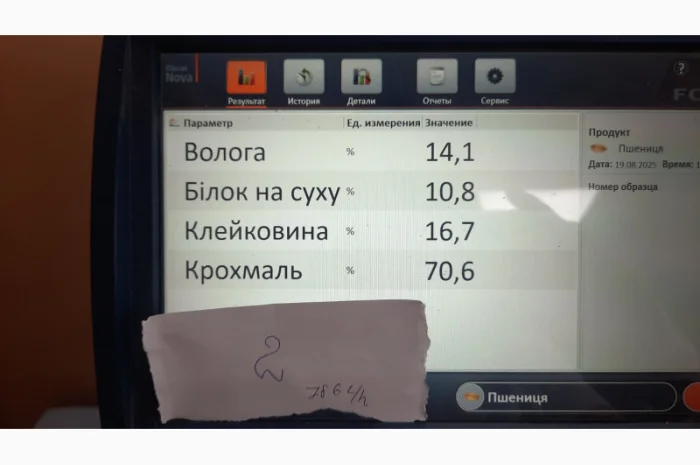 Пропонується пшениця в кількості 30 тонн- фото № 1