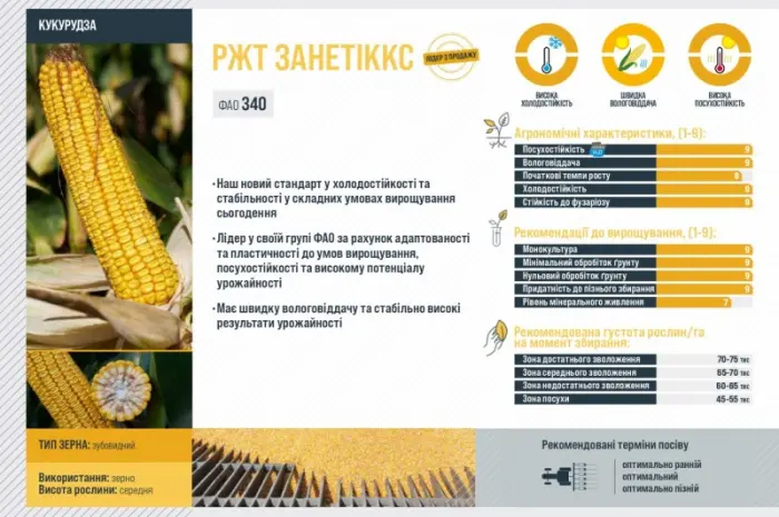 Насіння кукурудзи ЗАНЕТІККС RAGT в продаже- фото № 2