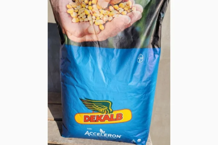 Продам насіння кукурудзи Монсанто ДКС 5007 з сертифікатом якості- фото № 3