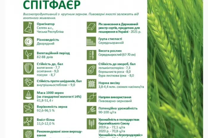 Предлагаем семена ярового ячменя Спитфаер (СН-1) ПИВОВАРЕННЫЙ- фото № 3