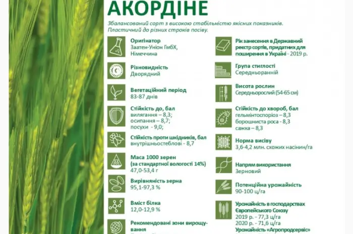 Пропонуємо насіння ячменю ярого Акордіне (СН-1) ПИВОВАРНИЙ- фото № 2