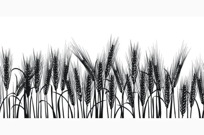 Закупівля Ячменю з самовивозом- фото № 1