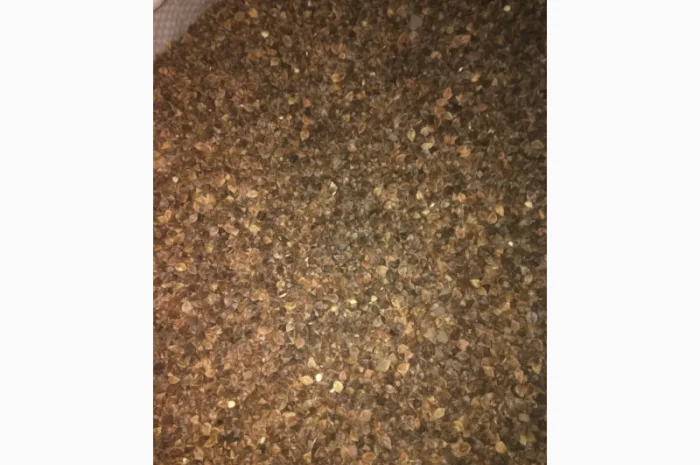 Гречка посівна бджолозапильна в наявності- фото № 2