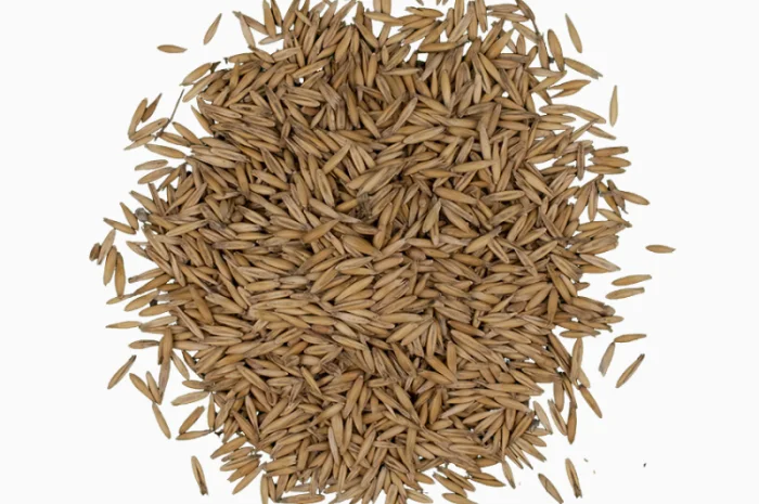 Продаж овса від 1 кг- фото № 2