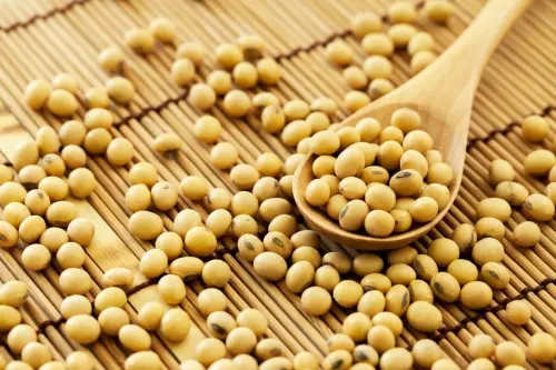 Закупаю половинки сои и отходы кукурузу- фото № 1