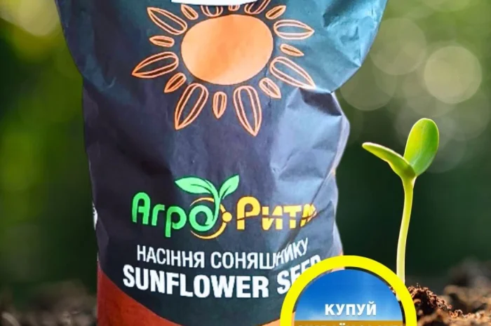 Соняшник Бомонд під Гранстар- фото № 1