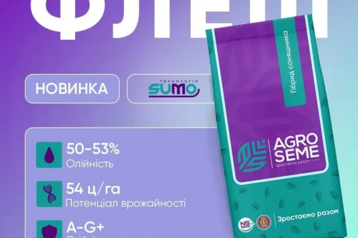 Насіння соняшника гібрид Флеш від виробника- фото № 1