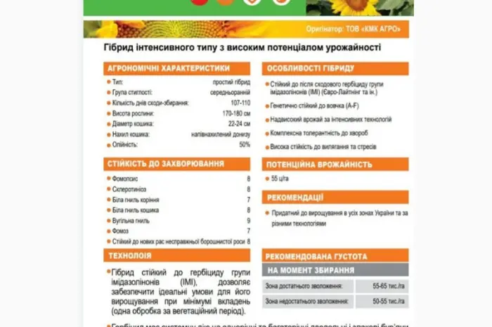 Пропонуємо насіння соняшника гібрид БАСТЕР- фото № 3