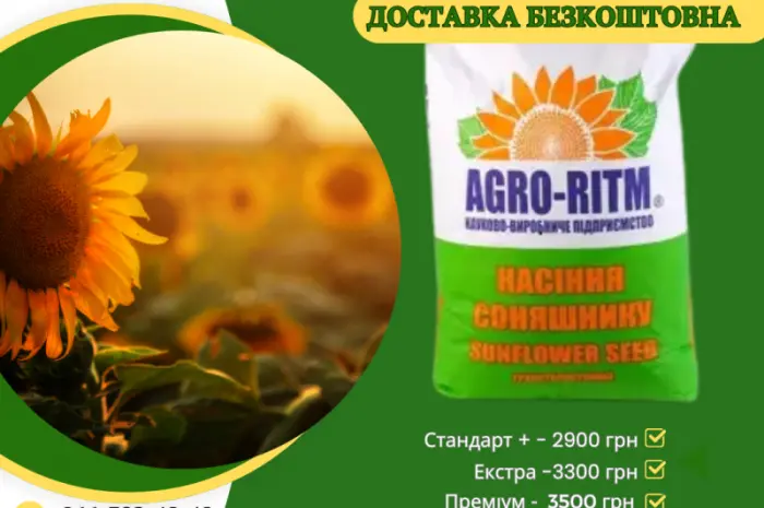 Насіння соняшнику АР 1801 для гербіциду Гранстар- фото № 1