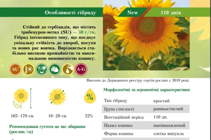 Тільки до кінця локдауну знижка на насіння соняшника 10%- фото № 3
