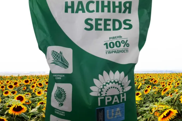 Пропоную посівний матеріал соняшника під Євро-лайтнінг- фото № 1