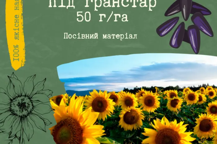 Продам насіння соняшника під Гранстар (50г/га)- фото № 1