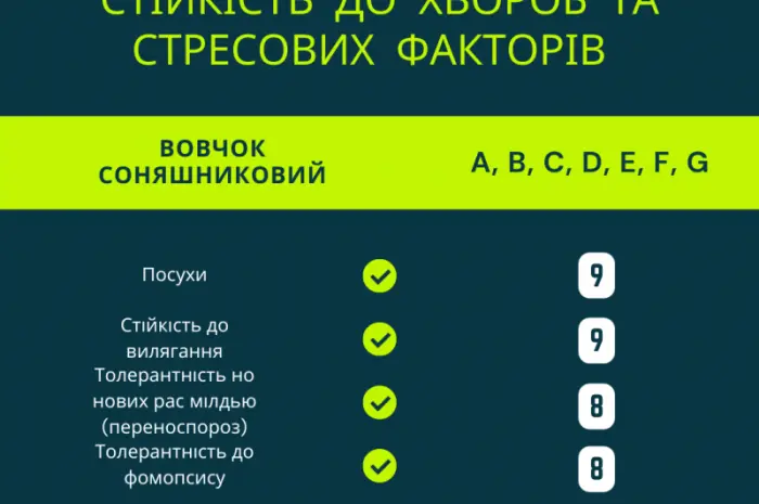 ФЕНІКС OR7- фото № 4